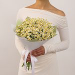 Полевые цветы