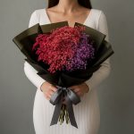 Гипсофилы красные